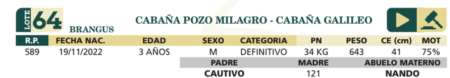 Lote LOTE 64