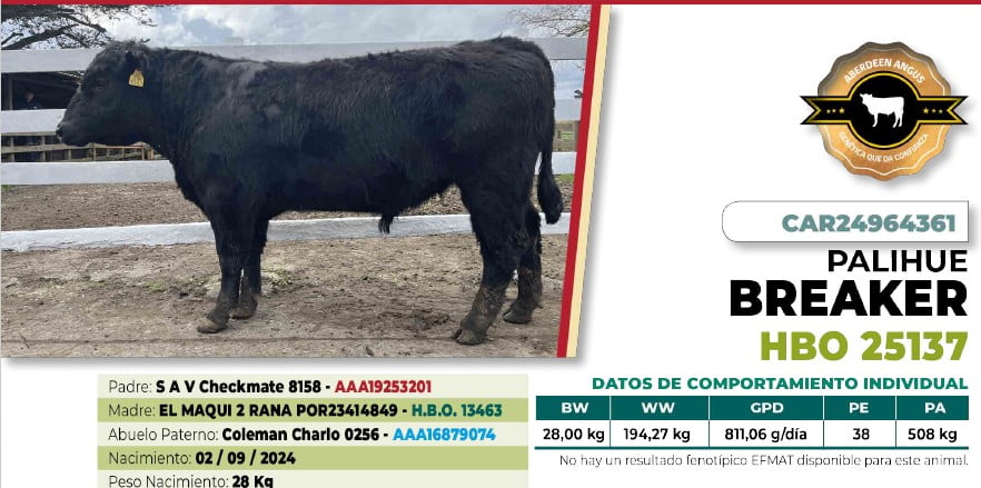 Lote 1 Toro BREAKER DIIO 4361