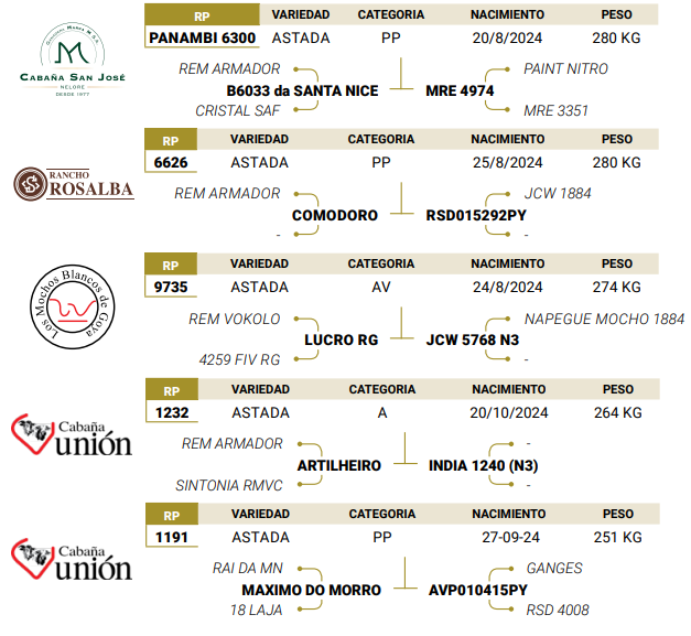 Lote LOTE 44