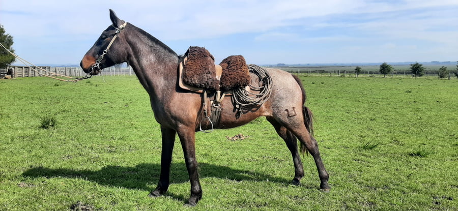 Lote Colombia Taborda (RP 80) - Cabaña Taborda