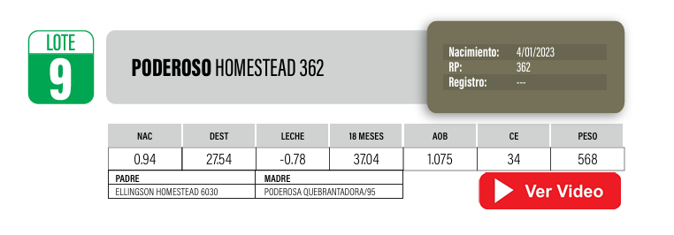 Lote Toros PI / PO / PC Angus a remate en Cabaña La Poderosa, Florida