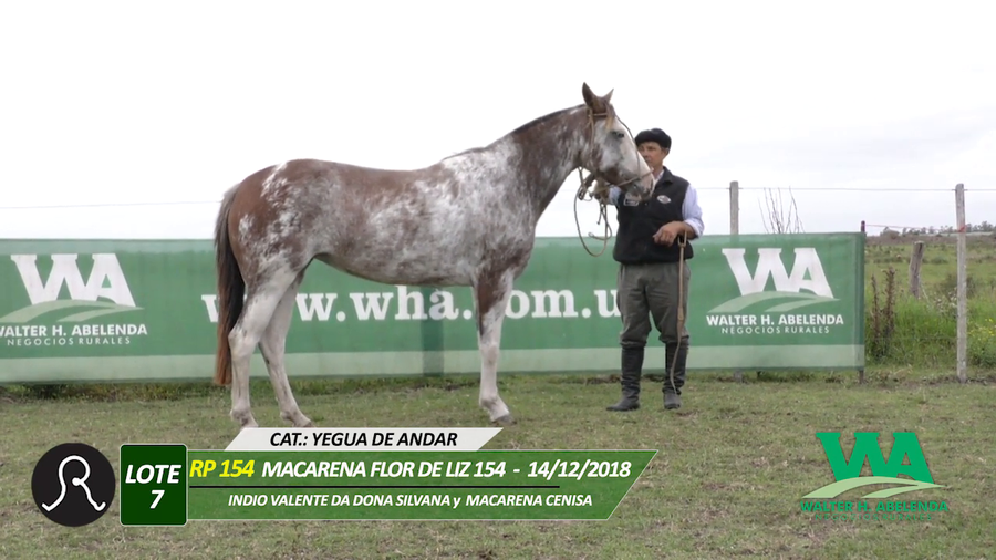Lote MACARENA FLOR DE LIZ 154
