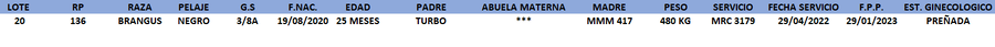 Lote LOTE 20