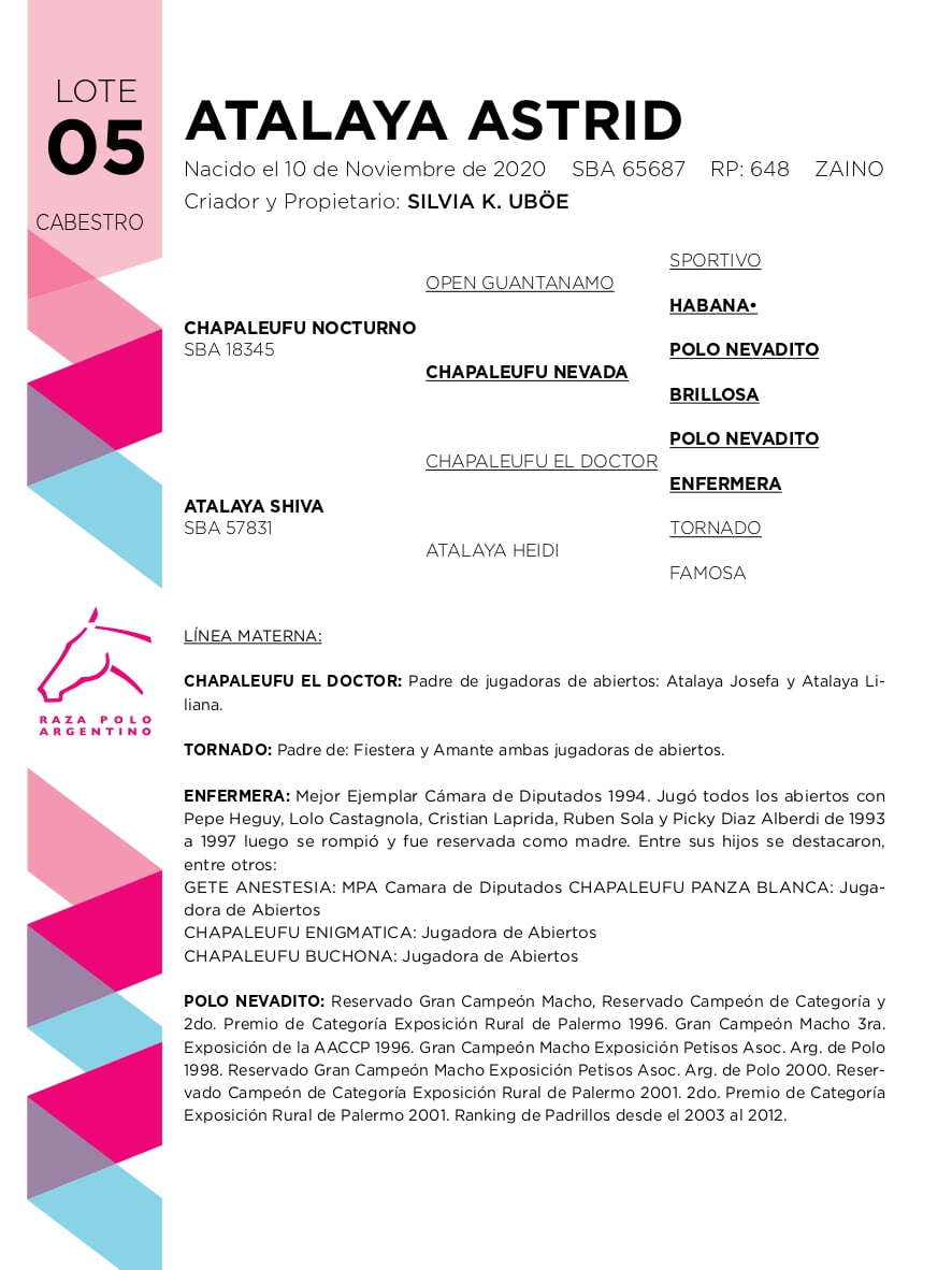 Lote ATALAYA ASTRID (CHAPALEUFU NOCTURNO - ATALAYA SHIVA)