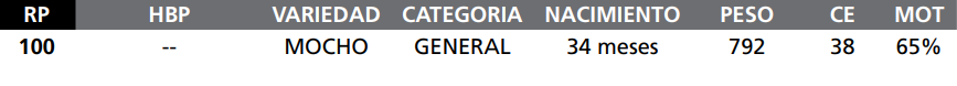 Lote LOTE 13-  RP 100