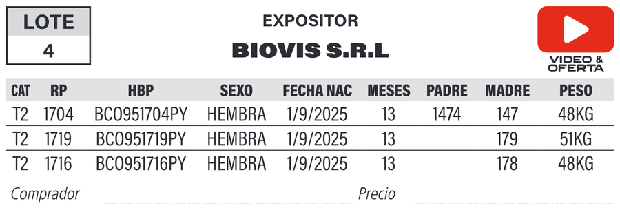 Lote LOTE 4