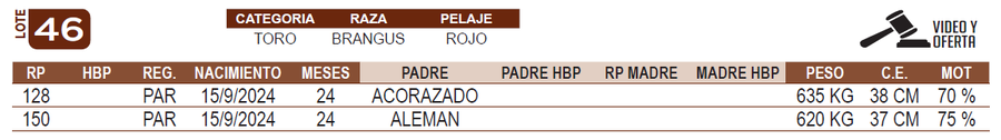 Lote LOTE 46