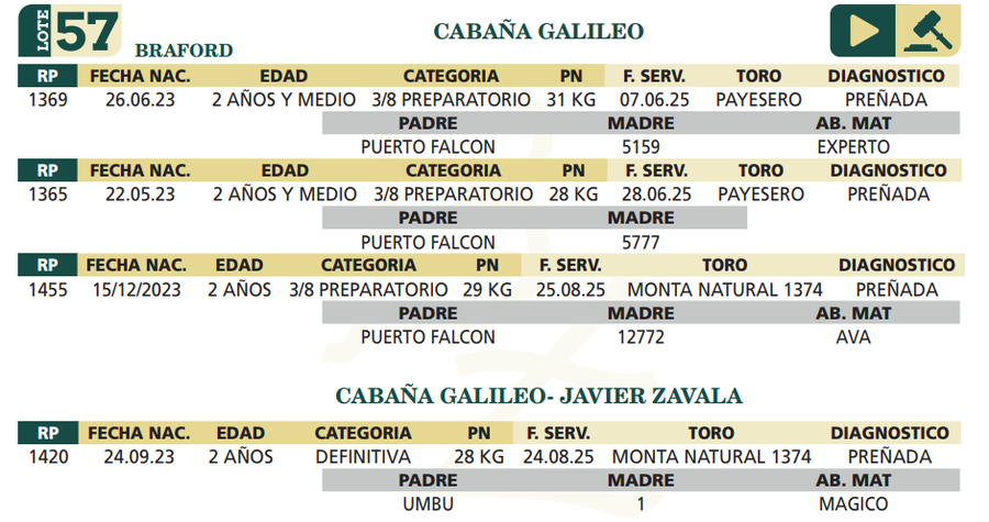 Lote LOTE 57