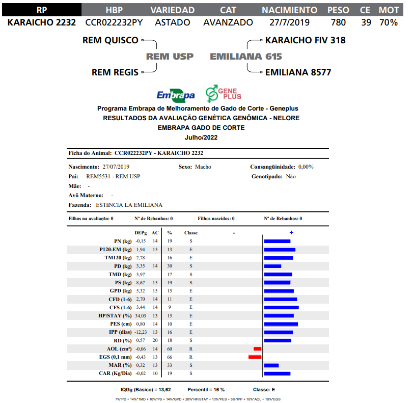 Lote LOTE 67-  RP K2232