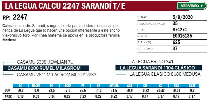 Lote TOROS ANGUS PURO DE PEDIGREE