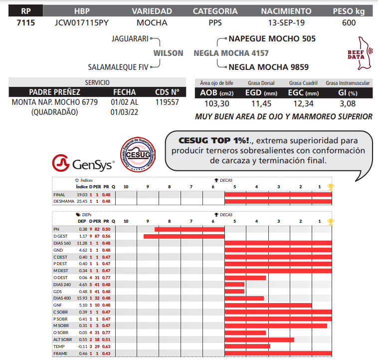 Lote LOTE 11