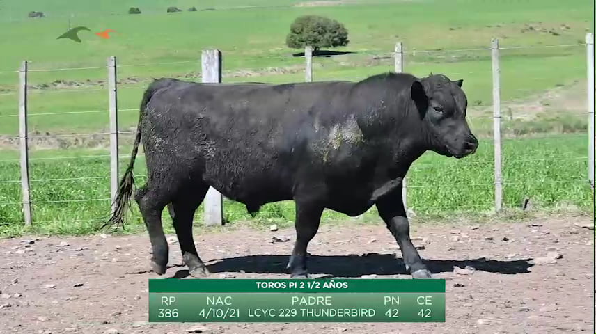 Lote Cabaña Manchega