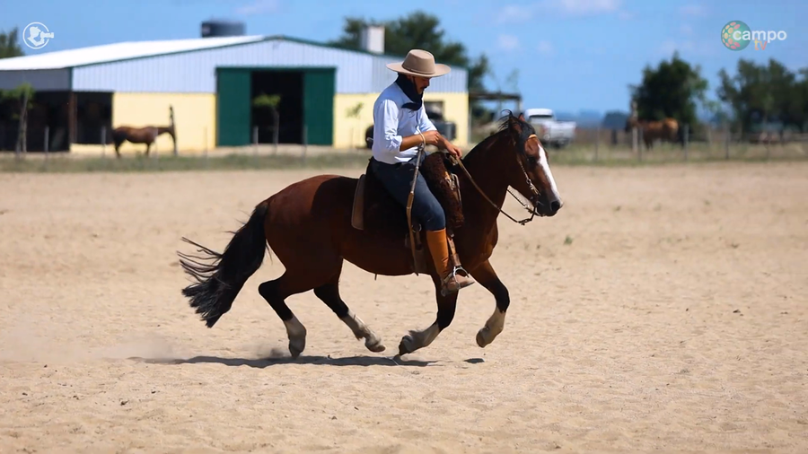 Lote LA ROSADA PAGO LINDO
