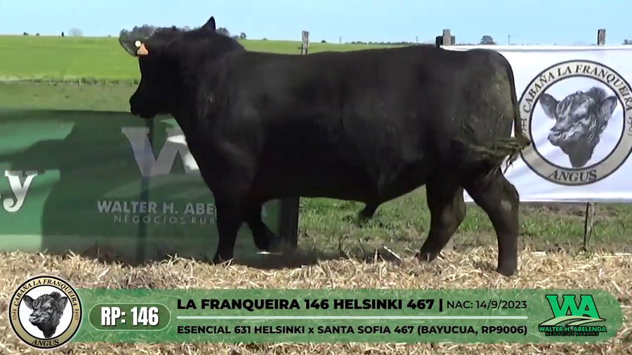 Lote LA FRANQUEIRA 146 HELSINKI 467