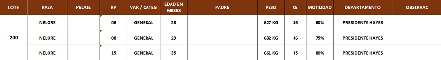 Lote LOTE 200 - POR PANTALLA