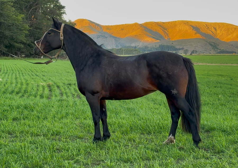 Lote Tres Ar Luna Clara