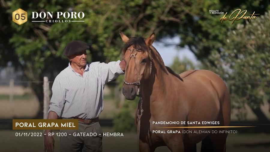 Lote PORAL GRAPA MIEL