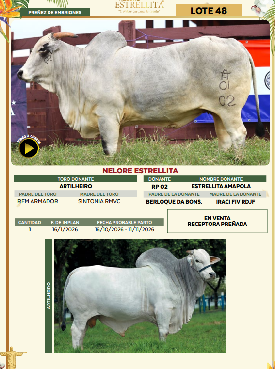 Lote LOTE 48