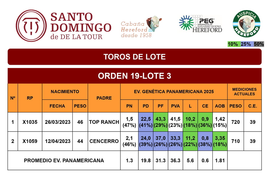 Lote Toros de Lote