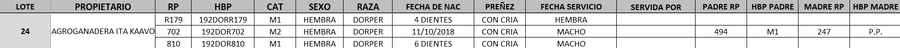 Lote LOTE 24