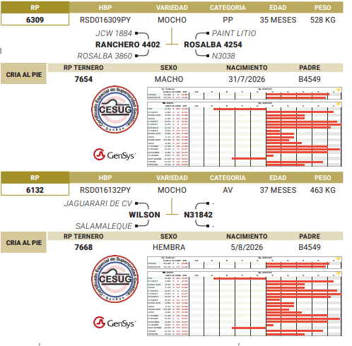 Lote LOTE 57