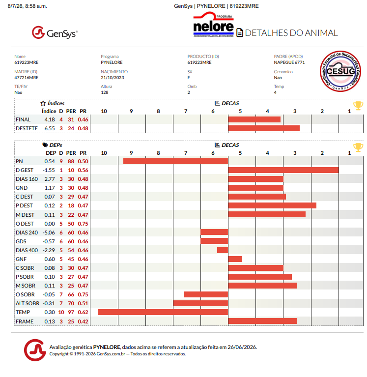 Lote LOTE 11