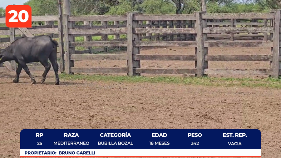 Imagen 1 del Lote Lote LOTE 20