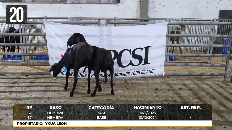 Lote LOTE 20