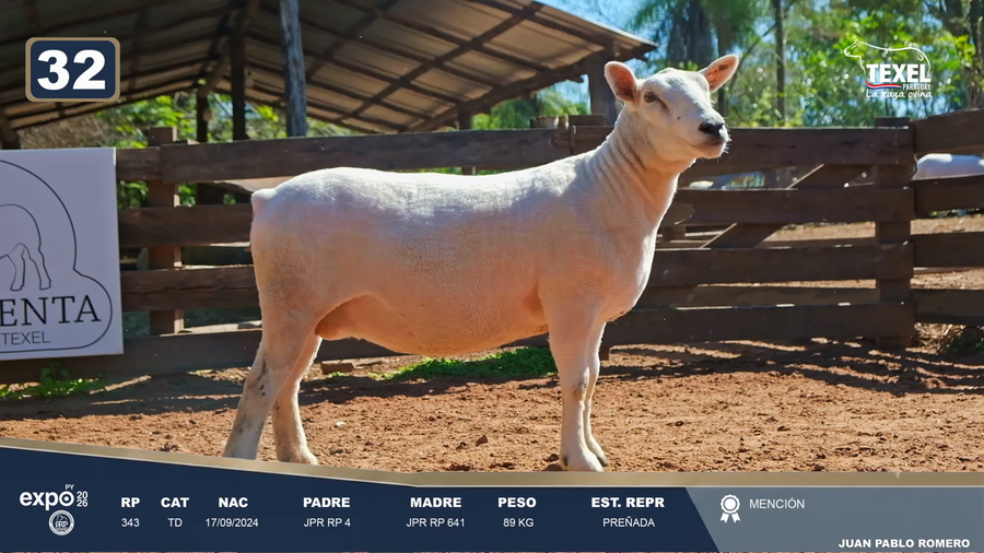 Lote LOTE 32