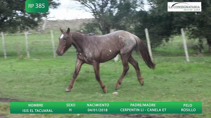 Lote ISIS EL TACUARAL