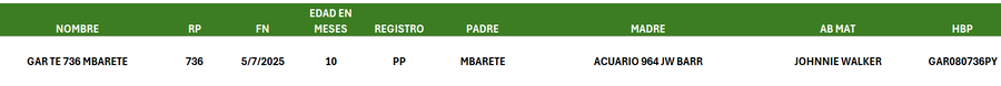 Lote LOTE 17