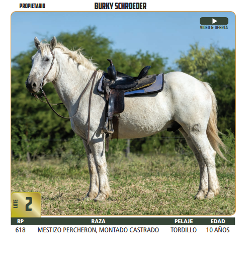 Lote LOTE 2