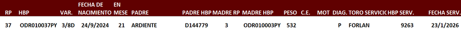 Lote LOTE 7