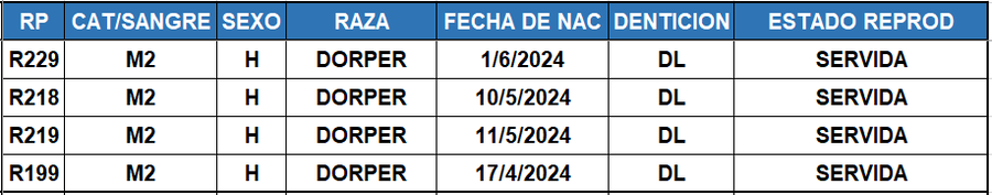 Lote LOTE 50