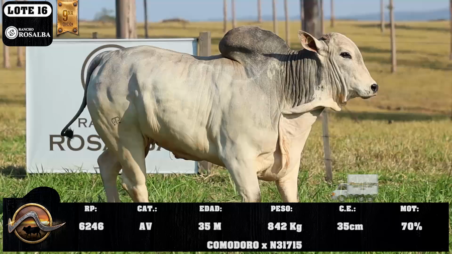 Lote LOTE 16
