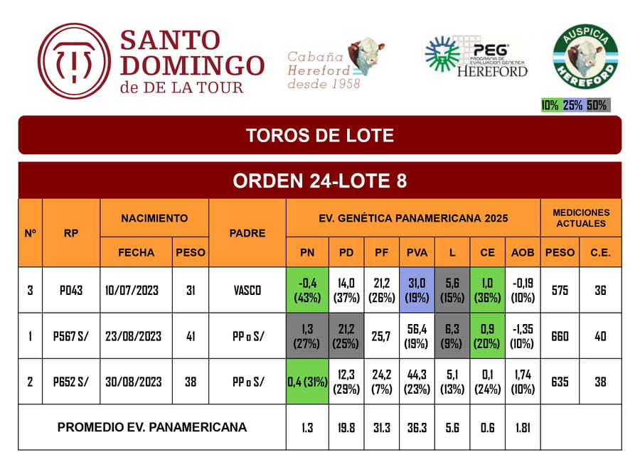 Lote Toros de Lote