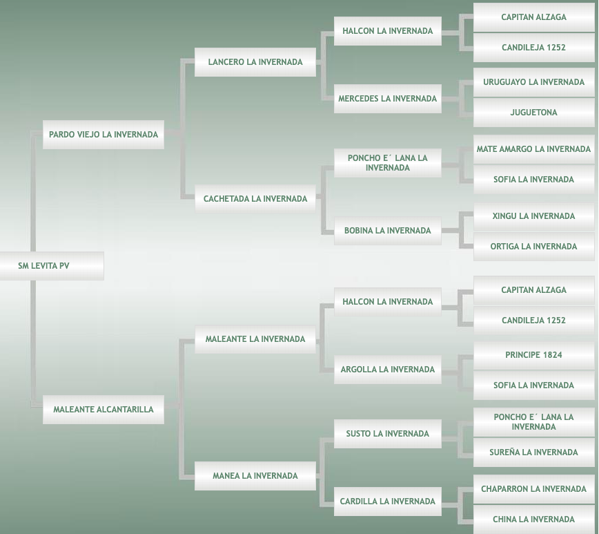 Lote NO SALE A VENTAS