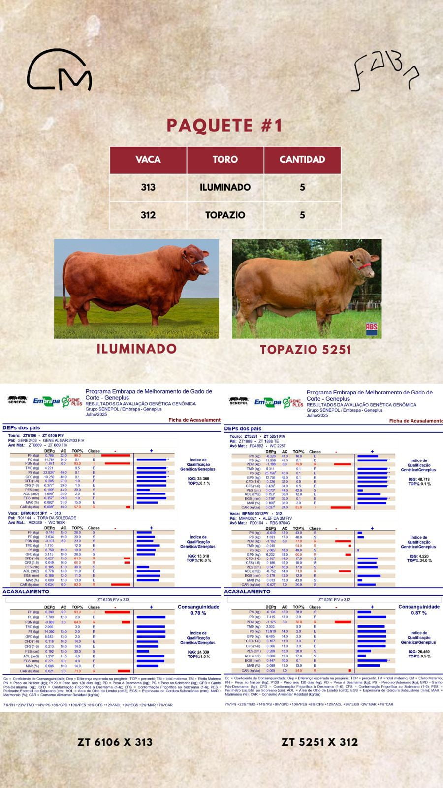 Lote PAQUETE 1