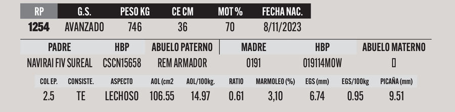 Lote LOTE 51