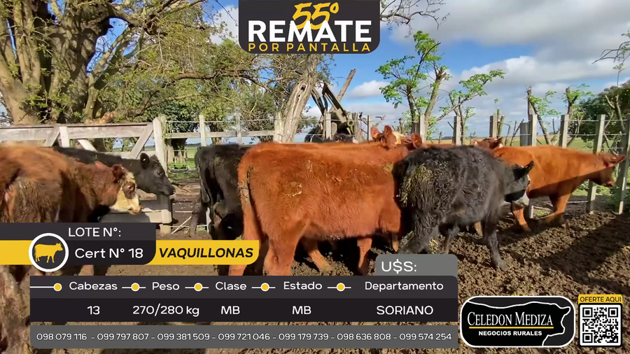 Lote 13 Vaquillonas  A 6 km de Egaña, Soriano