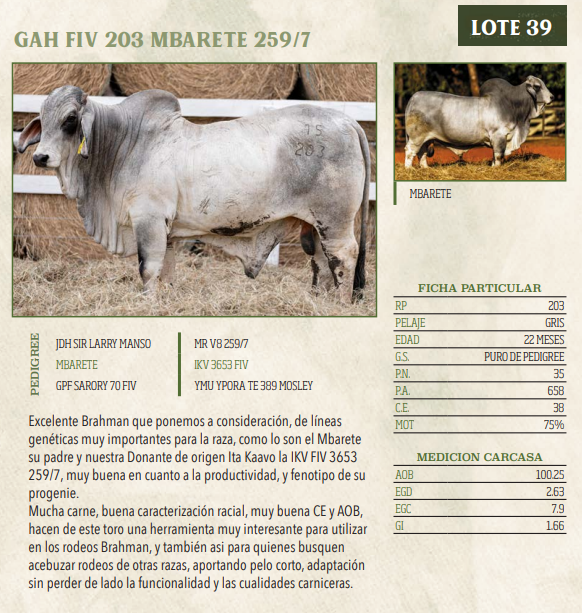 Lote LOTE 39