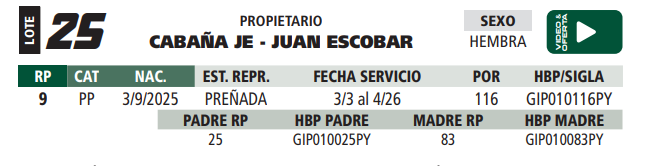Lote LOTE 25