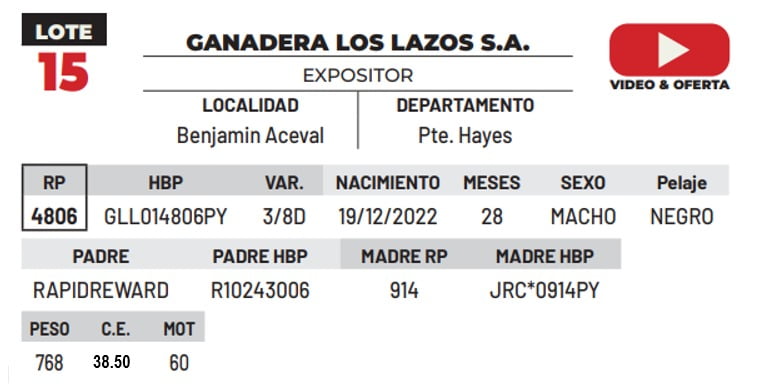 Lote LOTE 15