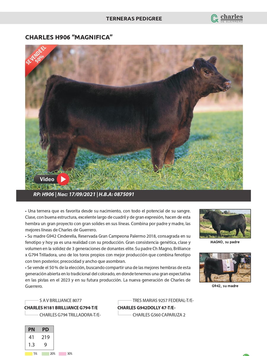 Lote Terneras