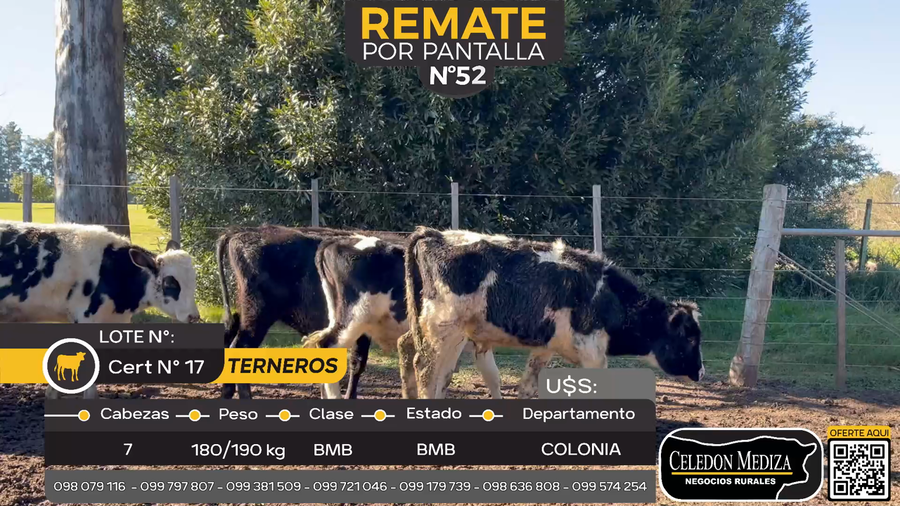 Lote 7 Terneros en Tarariras, Colonia