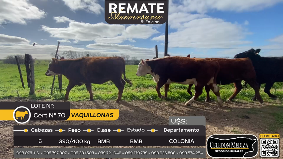 Lote 5 Vaquillonas  en La Horqueta, Colonia