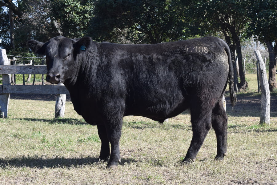 Lote CABAÑA “COEMBOTÁ” de Calderón RP 108