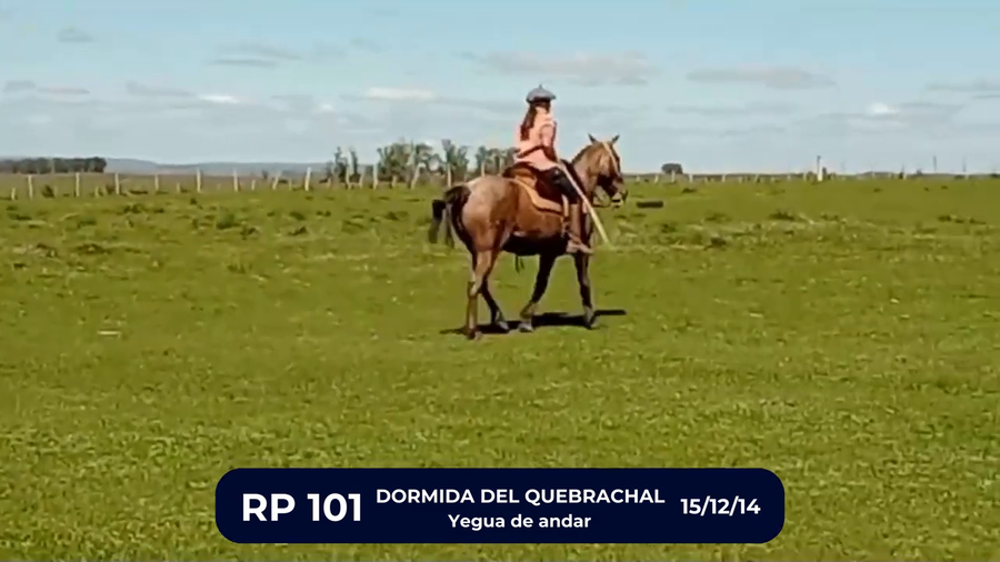 Lote DORMIDA DEL QUEBRACHAL