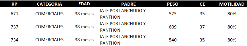 Lote AGROPECUARIA AMAMBAY - LOTE 12