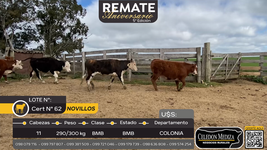 Lote 11 Novillos A 16 km de Tarariras, Colonia